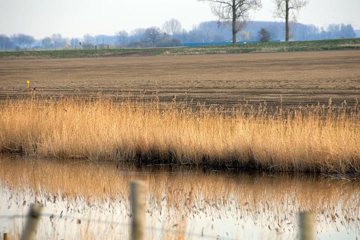 _DPA5462.JPG
