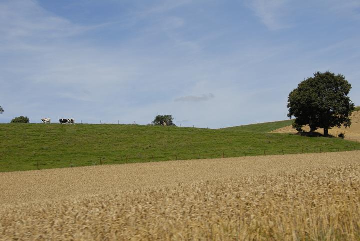 _DPA9608.JPG