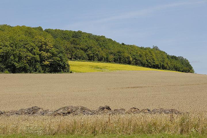 _DPA9615.JPG