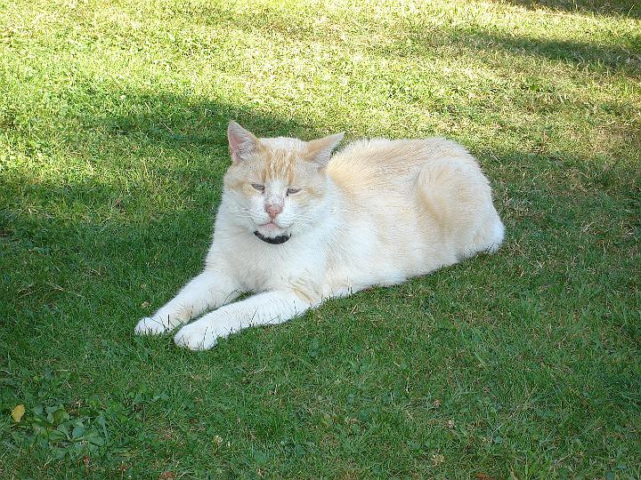 DSC03525.JPG